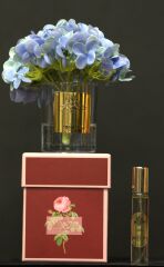 Gold Mavi Tekli ortanca Oda kokusu