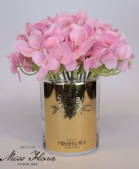 Gold Pembe Tekli Ortanca Oda Kokusu
