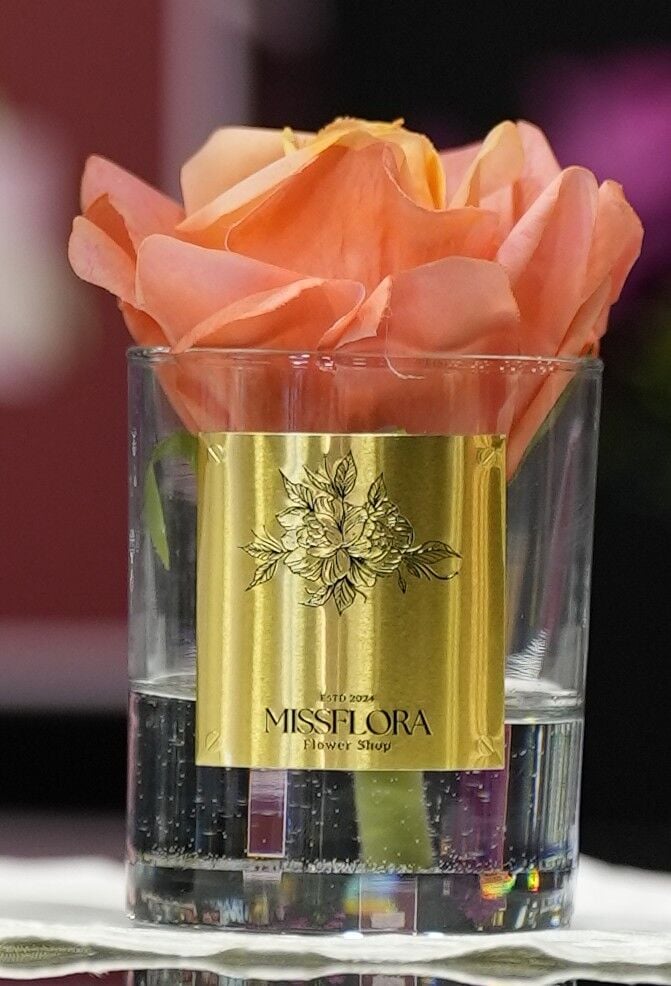 Somon Tek Gül Oda Kokusu