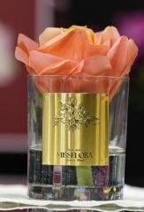 Somon Tek Gül Oda Kokusu