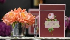 Somon 7  Güllü  Oda Kokusu