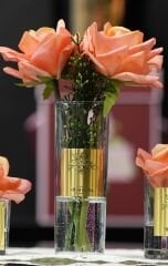 Somon İki Güllü Oda Kokusu