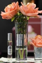 Somon İki Güllü Oda Kokusu